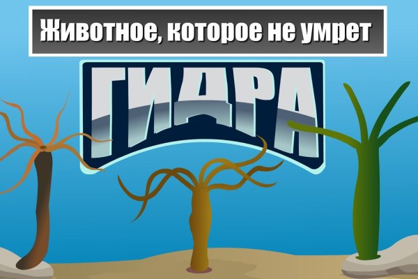 Аналог гидры