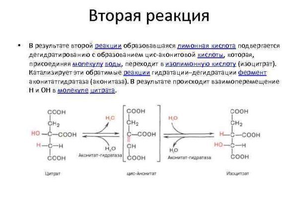 Кракен онион рабочая ссылка