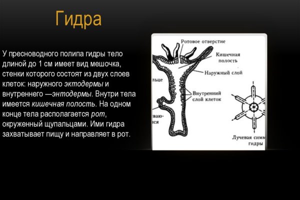 Сайт кракена актуальный